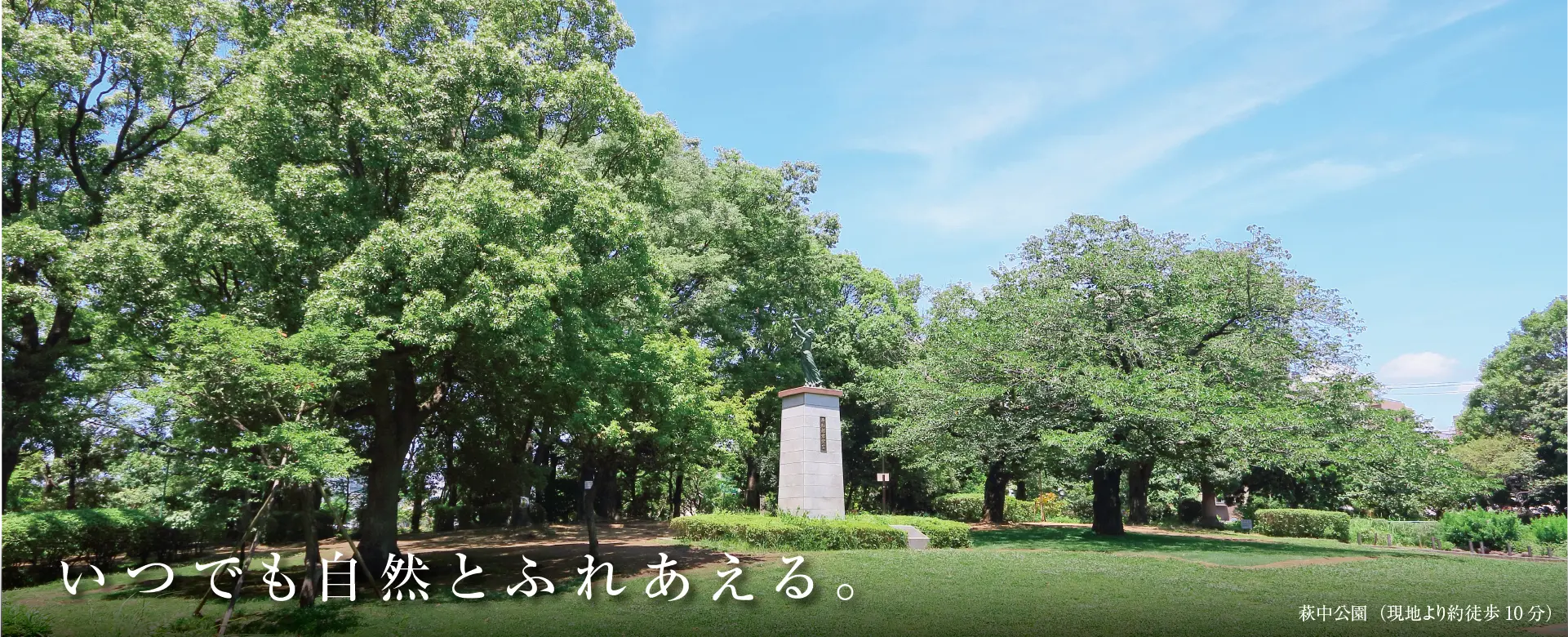 萩中公園